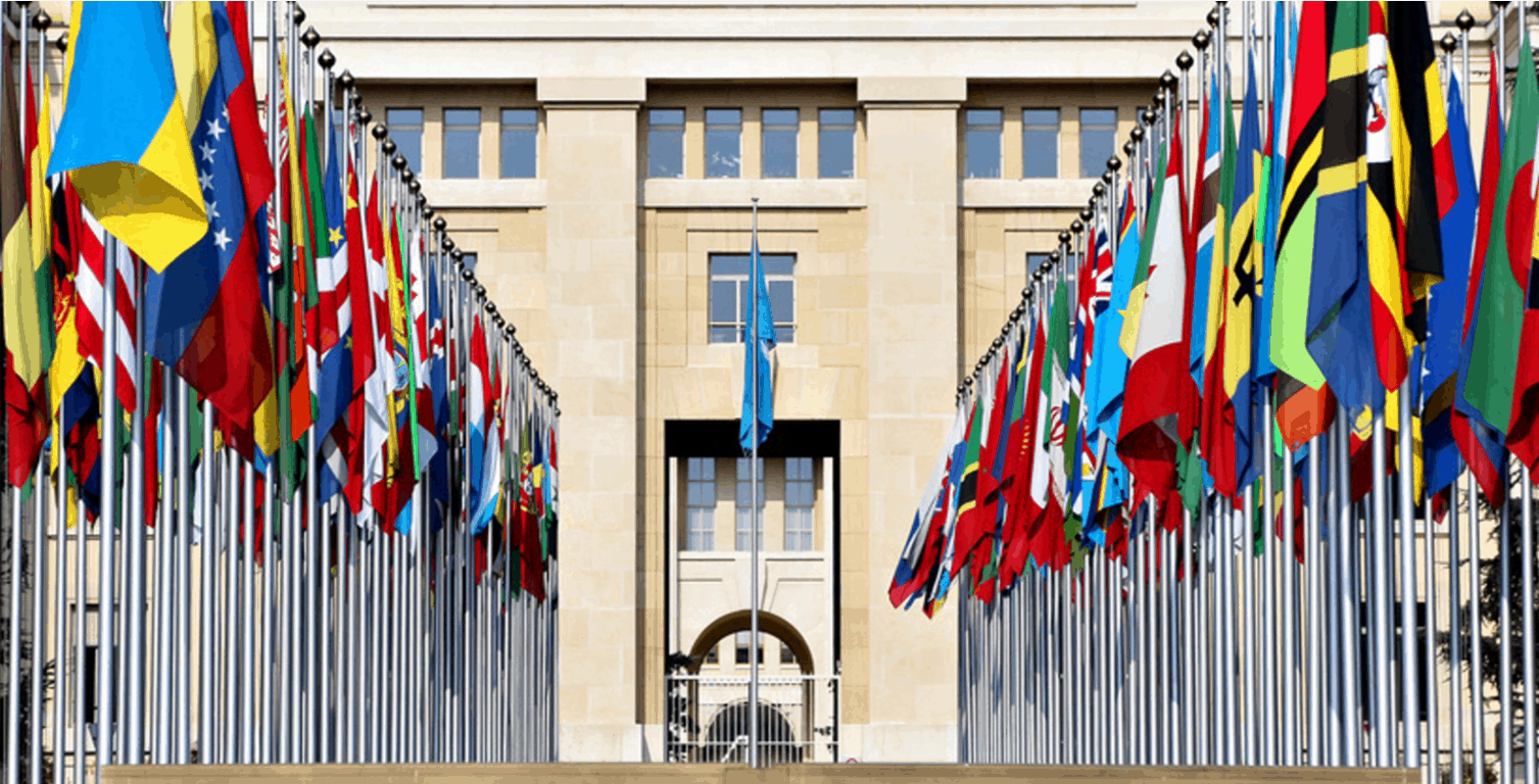 United Nations (UN)